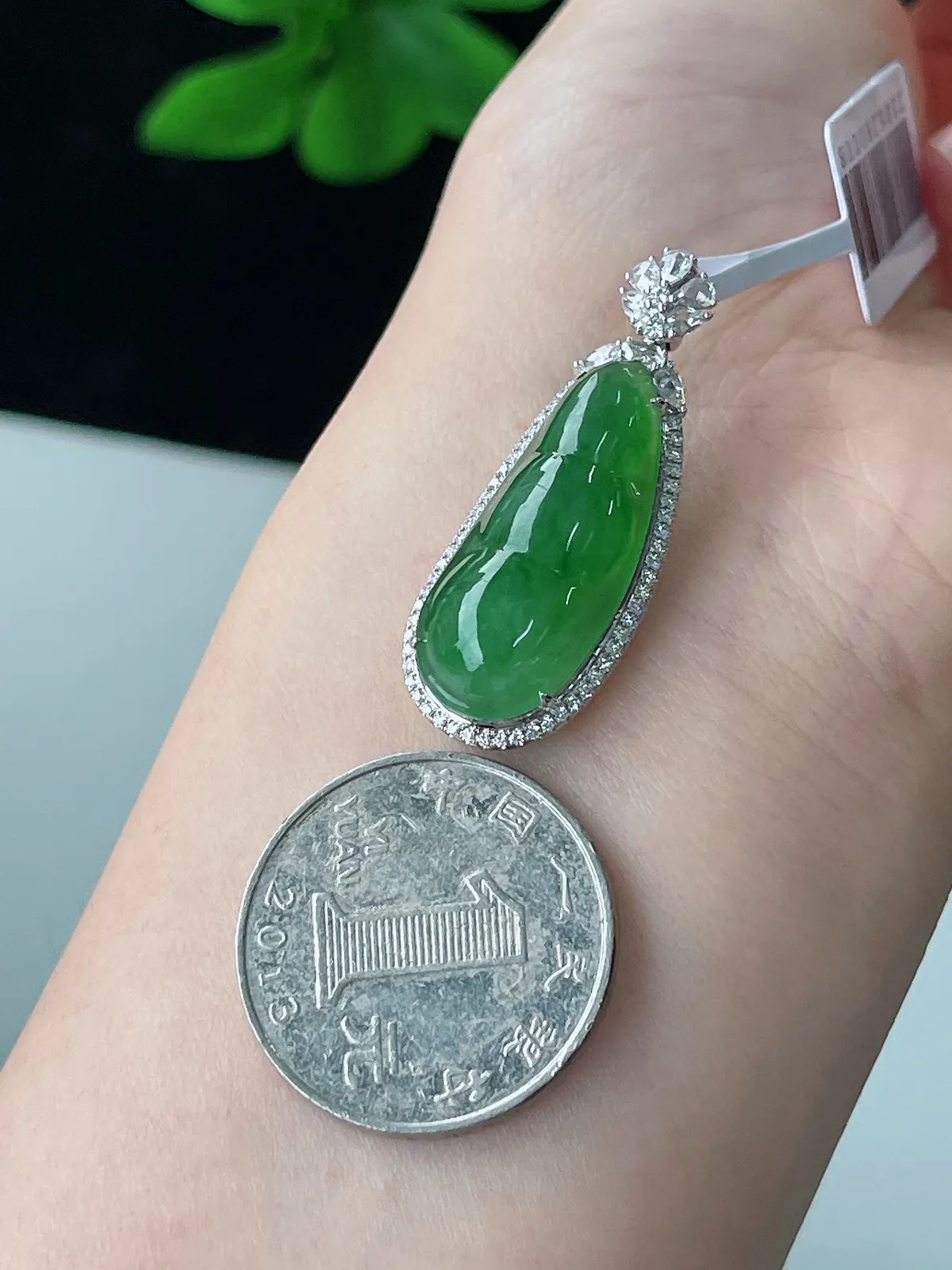 18k金翡翠冰糯种绿色福豆