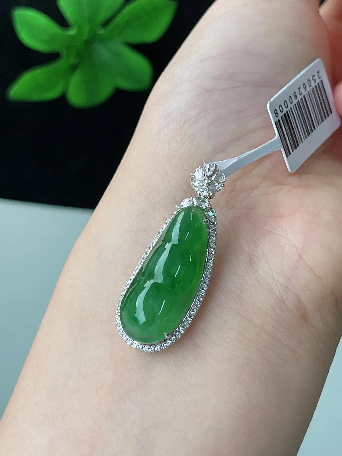 18k金翡翠冰糯种绿色福豆