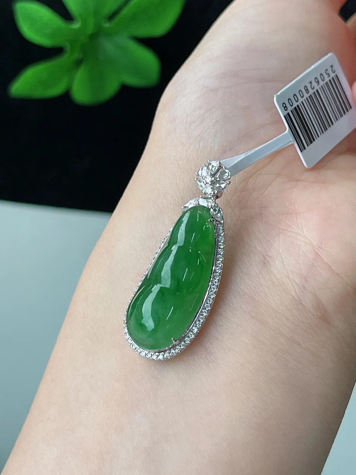 18k金翡翠冰糯种绿色福豆