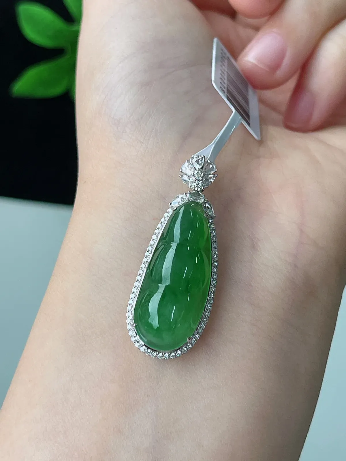 18k金翡翠冰糯种绿色福豆