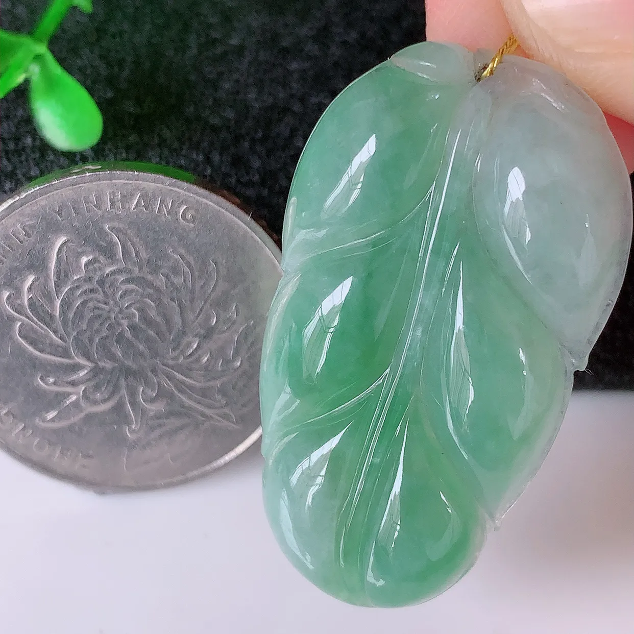 自然光实拍，冰飘绿翡翠叶子吊坠 ，种水足，色泽清新，工艺精湛，叶子寓意美好；金枝玉叶，事业有成。#00.24