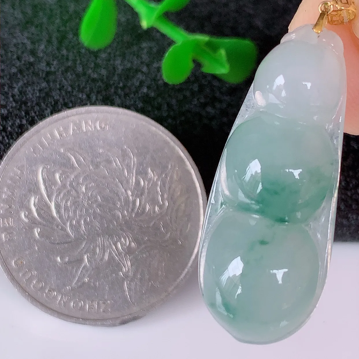 18K金镶嵌冰种飘花翡翠福豆吊坠，平安豆福豆玉坠，冰润通透，豆粒饱满，寓意：豆蔻年华！#49.24