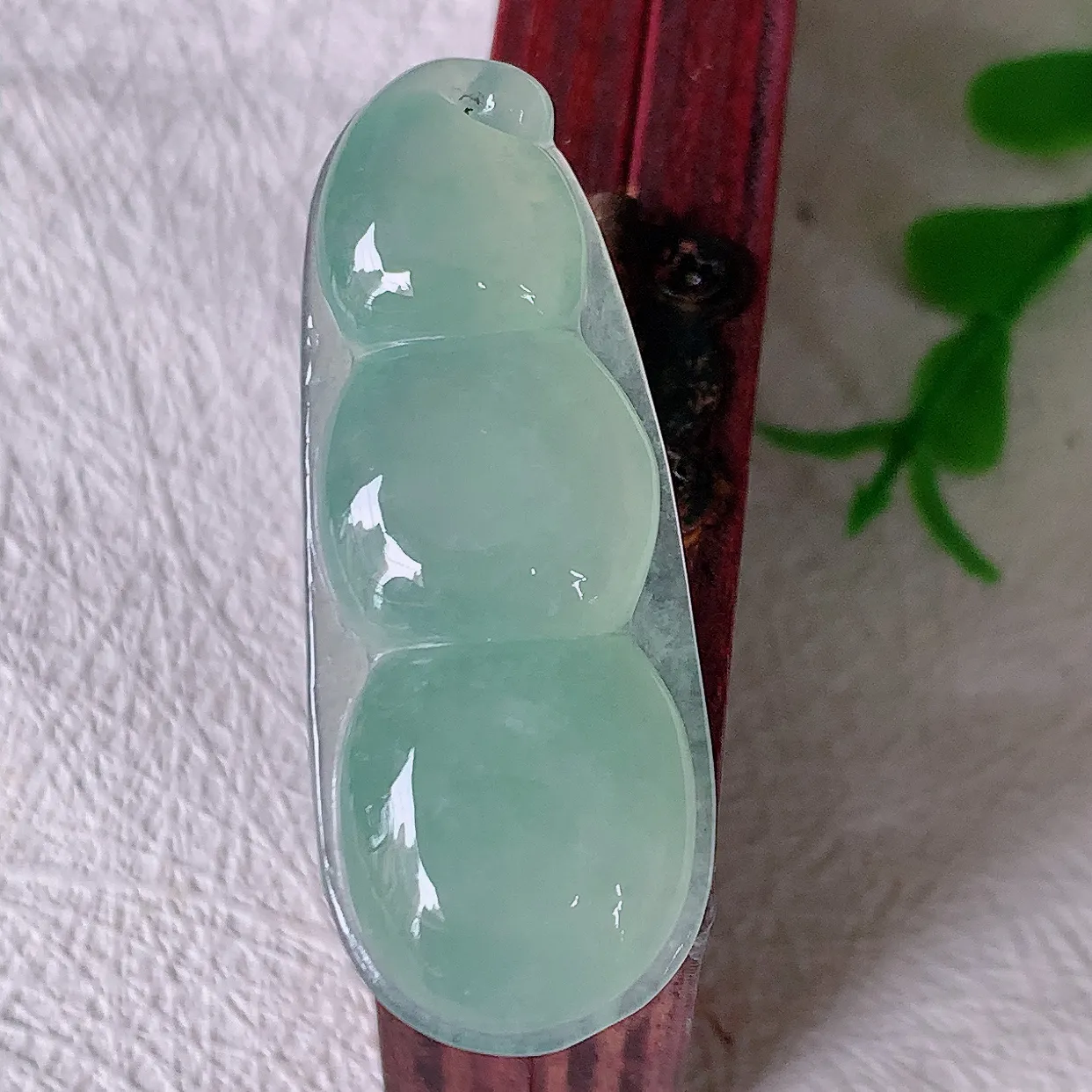 自然光实拍，冰种绿翡翠四季豆吊坠，平安豆福豆玉坠，冰润通透，豆粒饱满，寓意：豆蔻年华！#01.22