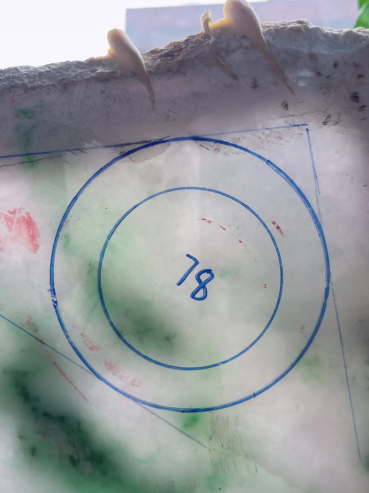 翡翠板料，⭕️正圈最大做62，圆条最大做58