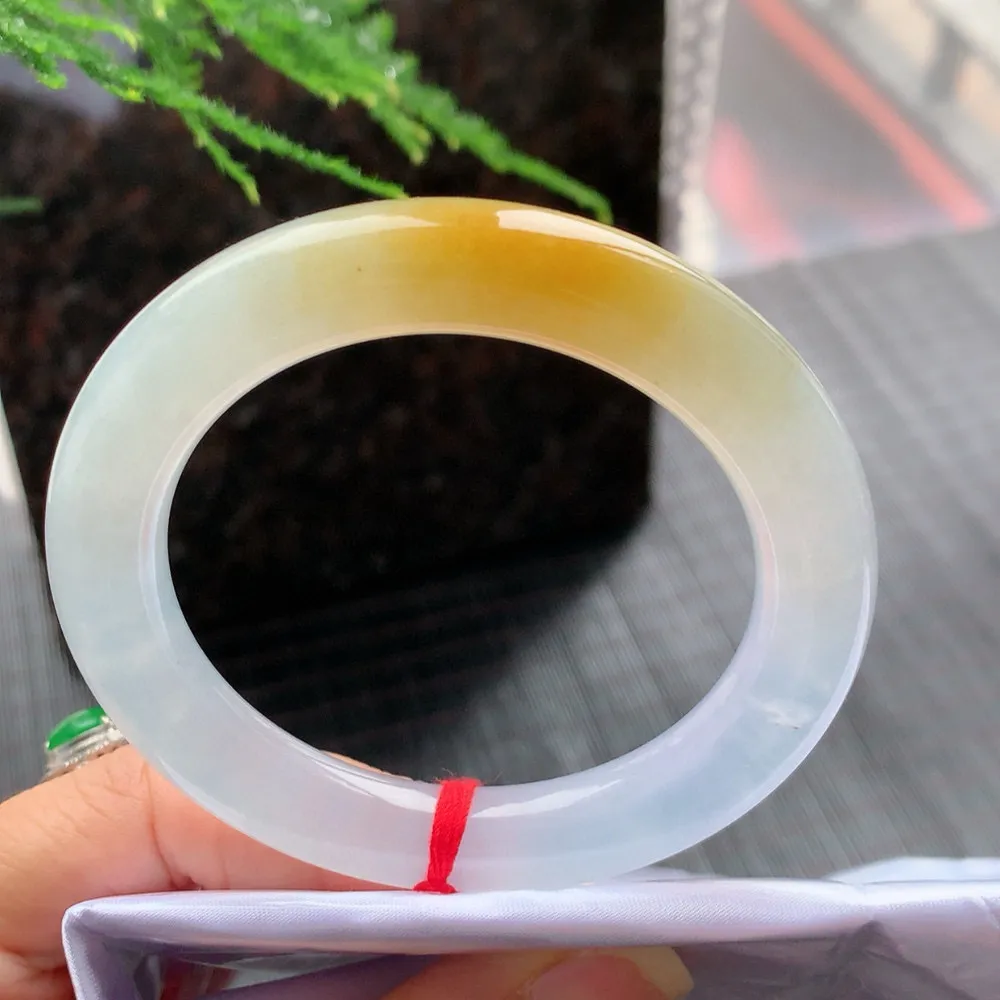 圆条冰玻黄翡 一丝冰丝根 不影响 尺寸:54.2/10.1/10.6 种色俱佳🥰🥰