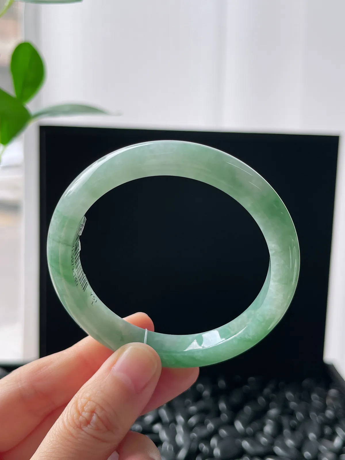 正圈53.5圈口，翡翠糯化种飘绿手镯