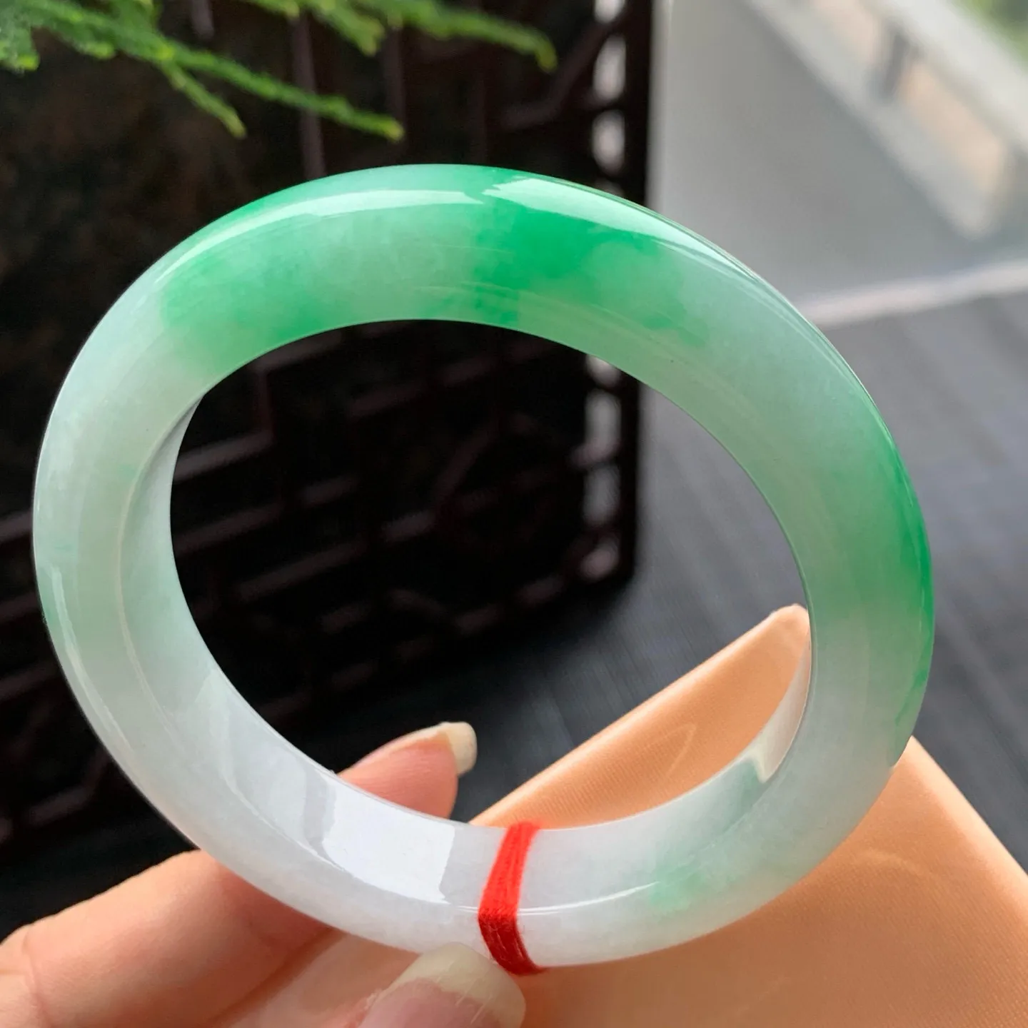 正圈一大节阳绿 无瑕 尺寸:54.8/12.4/9.2 色阳🥰🥰
