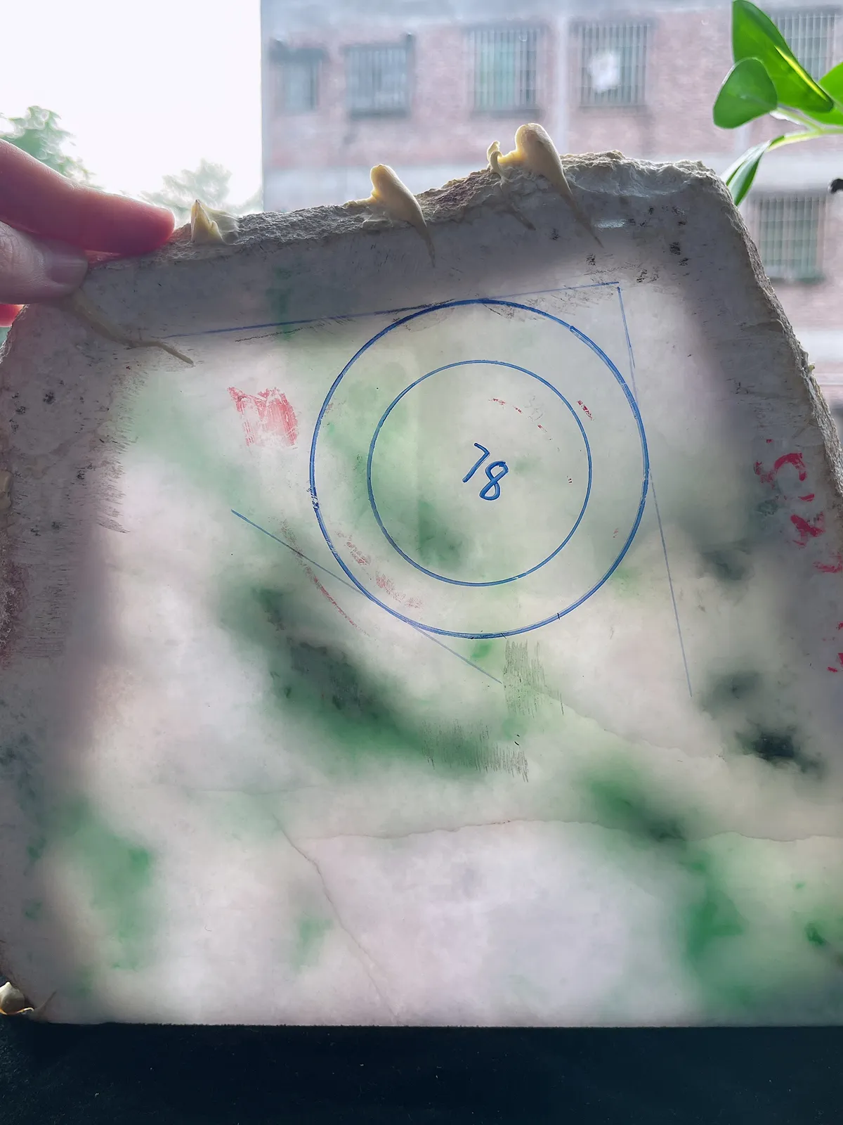 翡翠板料，⭕️正圈最大做62，圆条最大做58