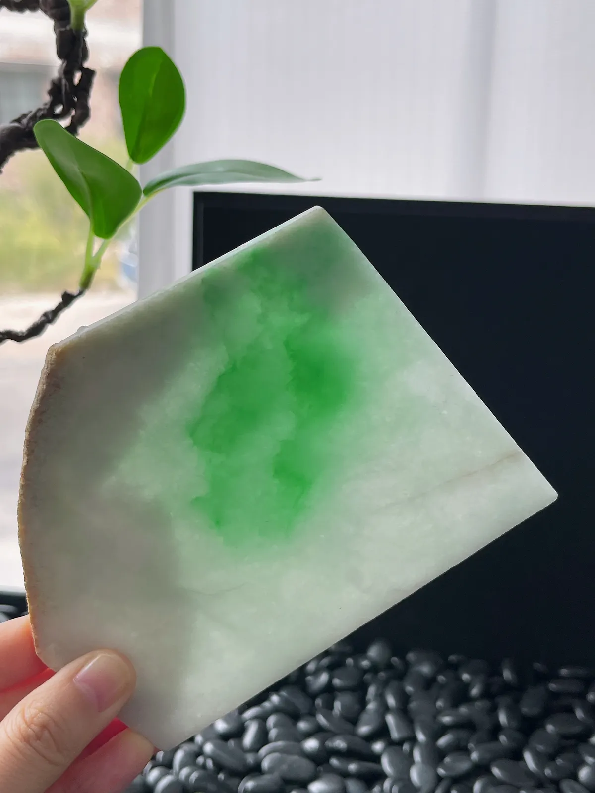 翡翠飘阳绿片料