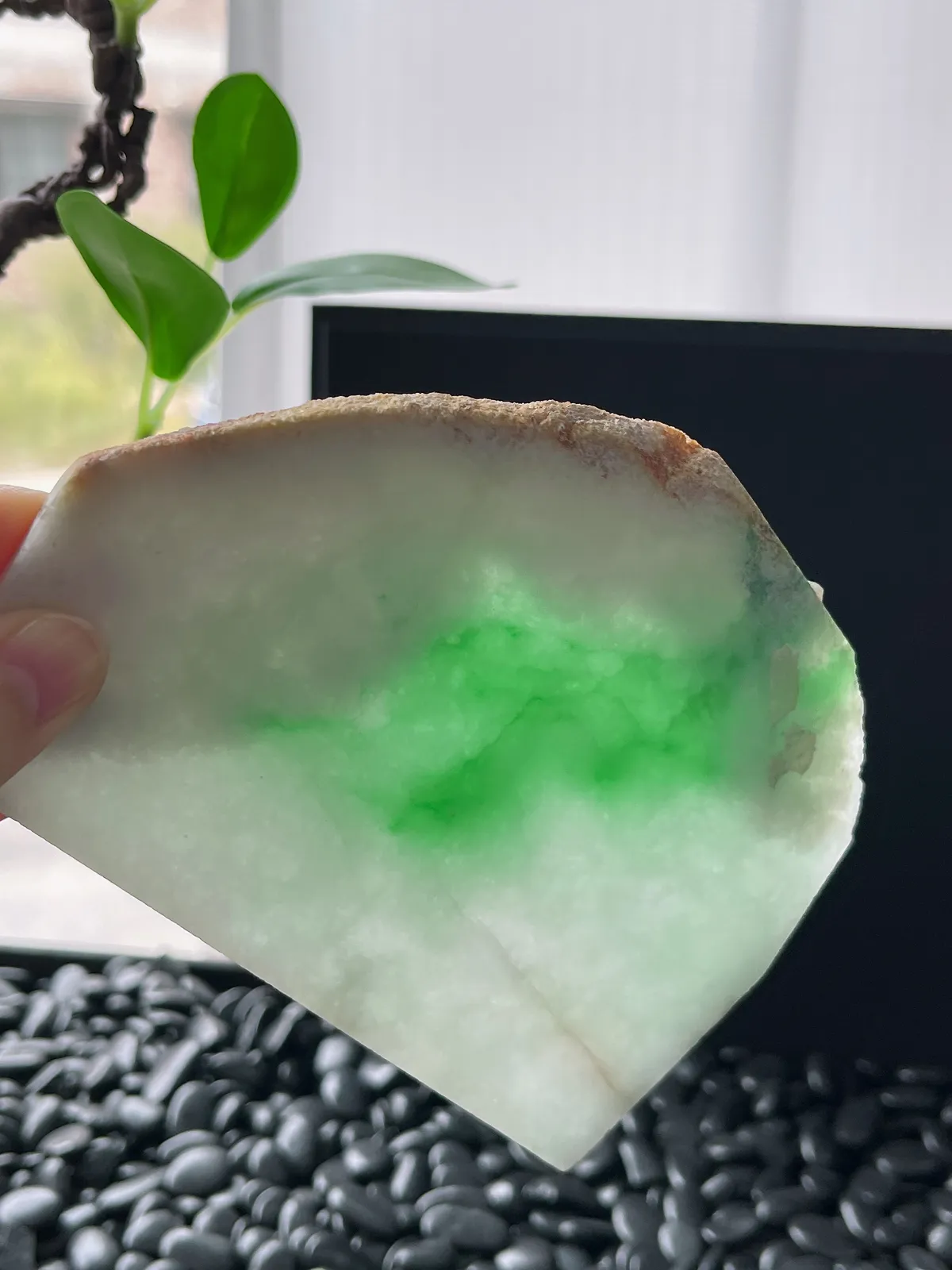 翡翠飘阳绿片料