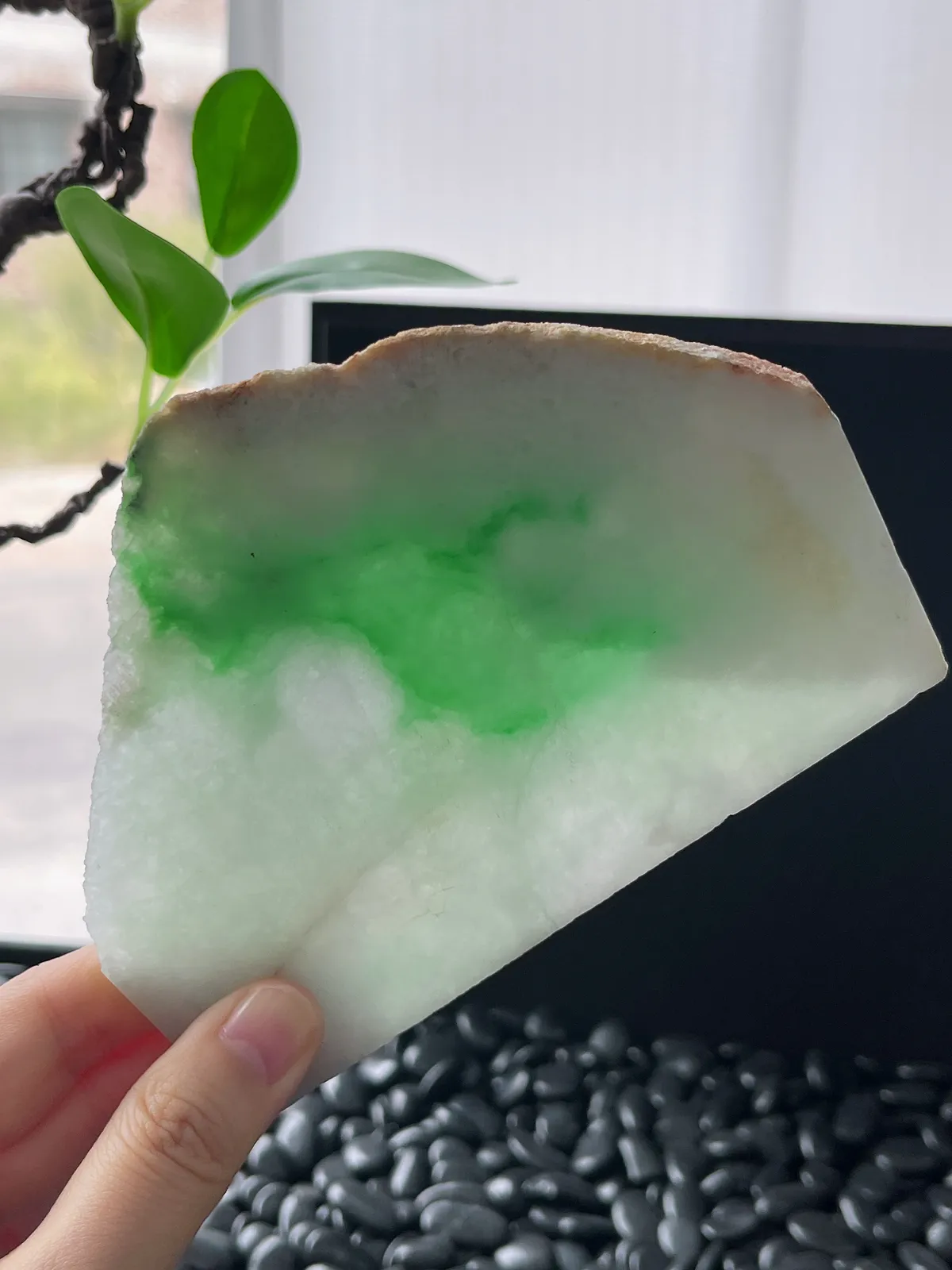 翡翠飘阳绿片料