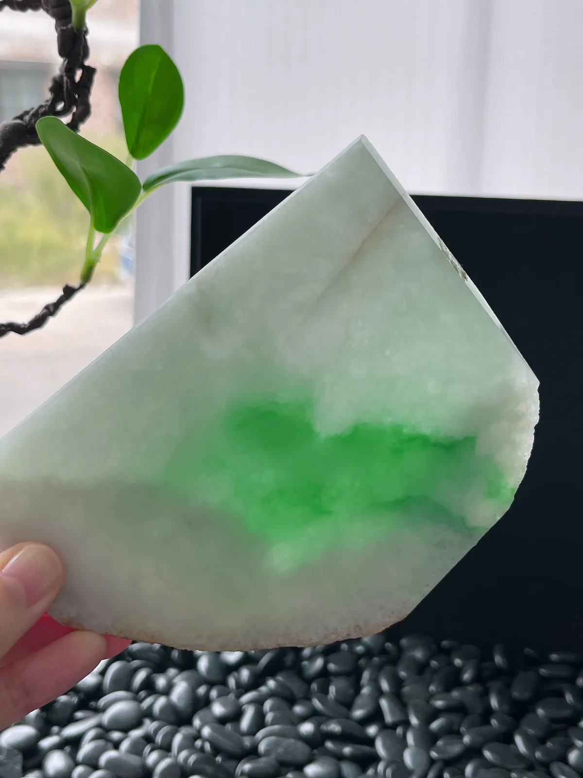 翡翠飘阳绿片料