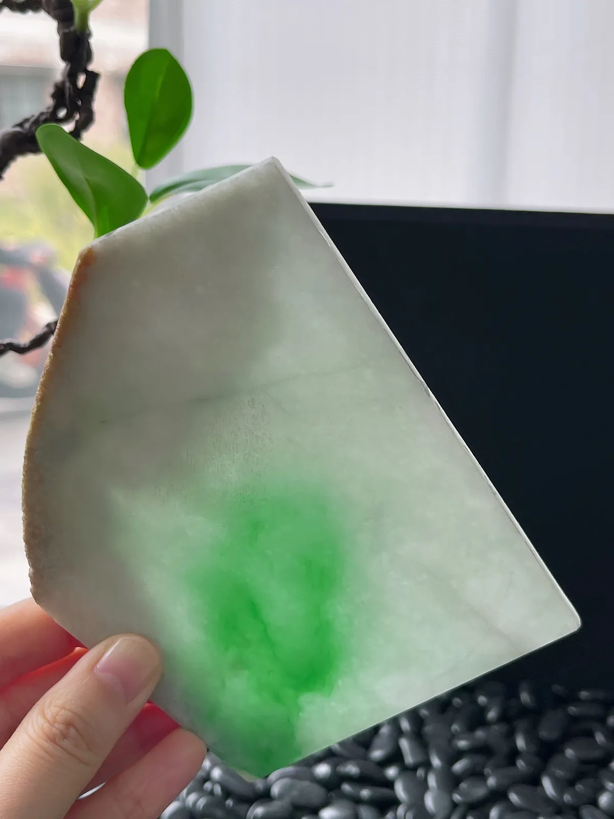 翡翠飘阳绿片料