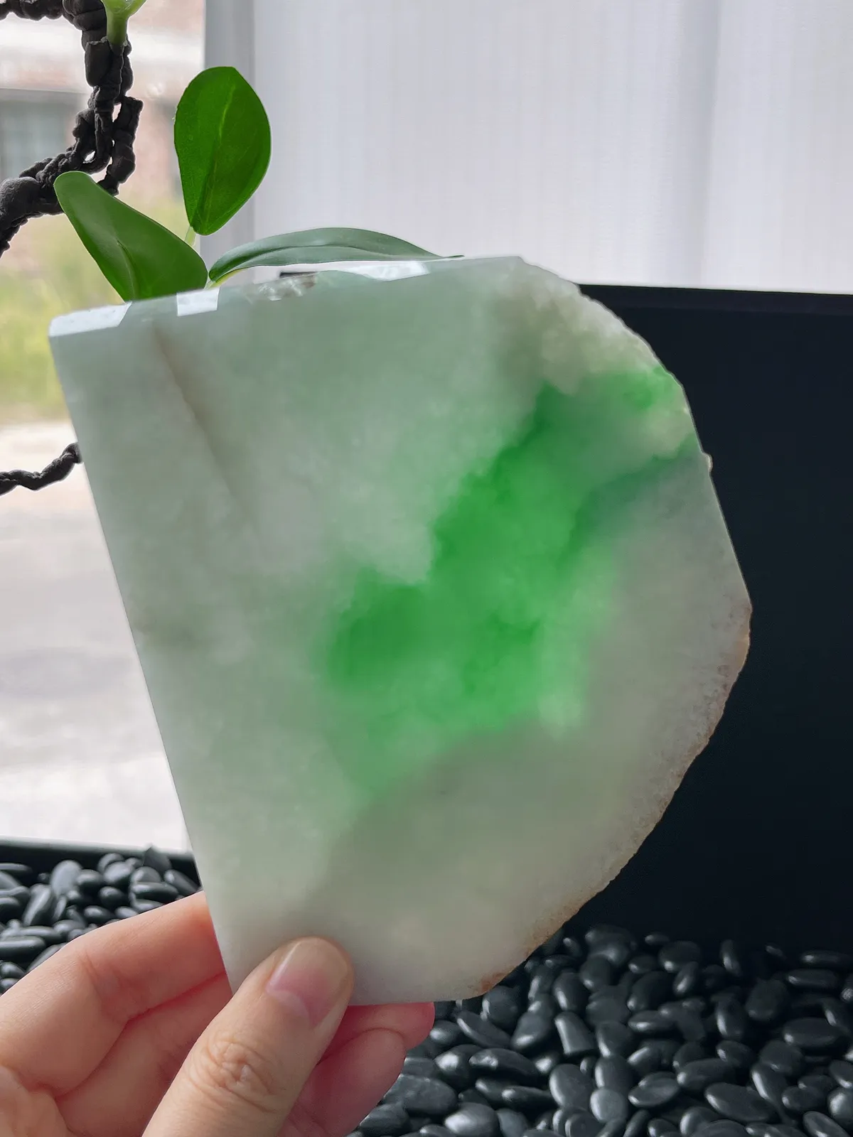 翡翠飘阳绿片料