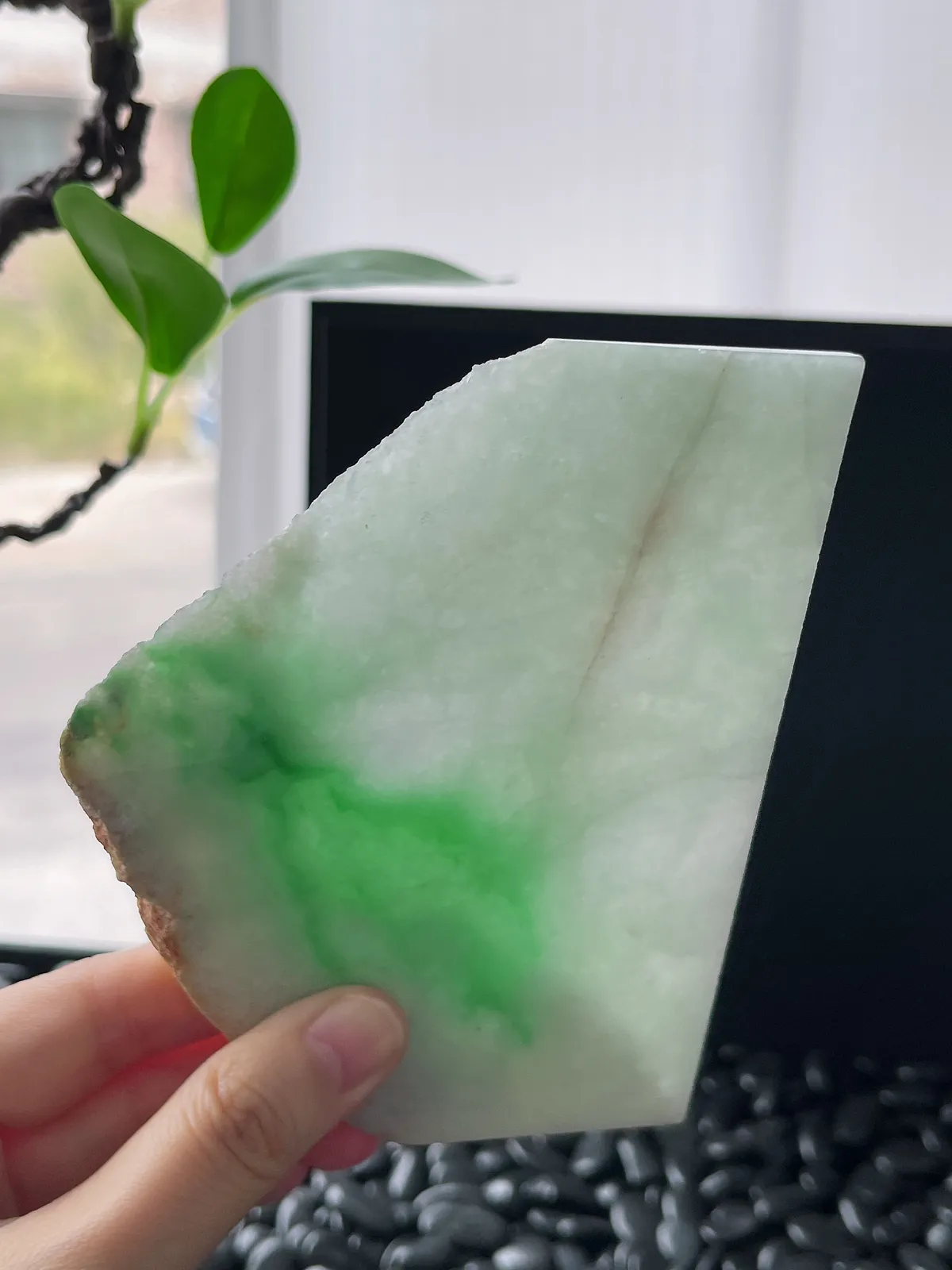 翡翠飘阳绿片料