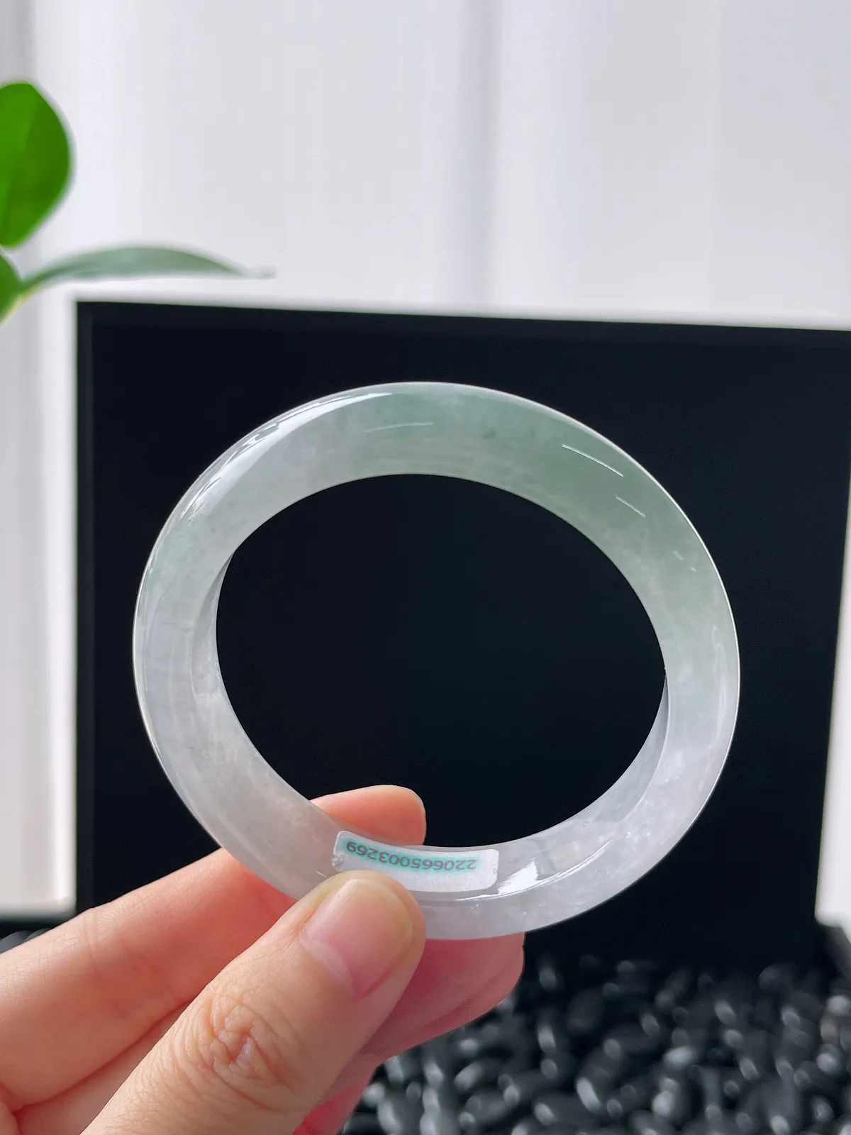 正圈51.8圈口，翡翠冰糯种浅绿色手镯