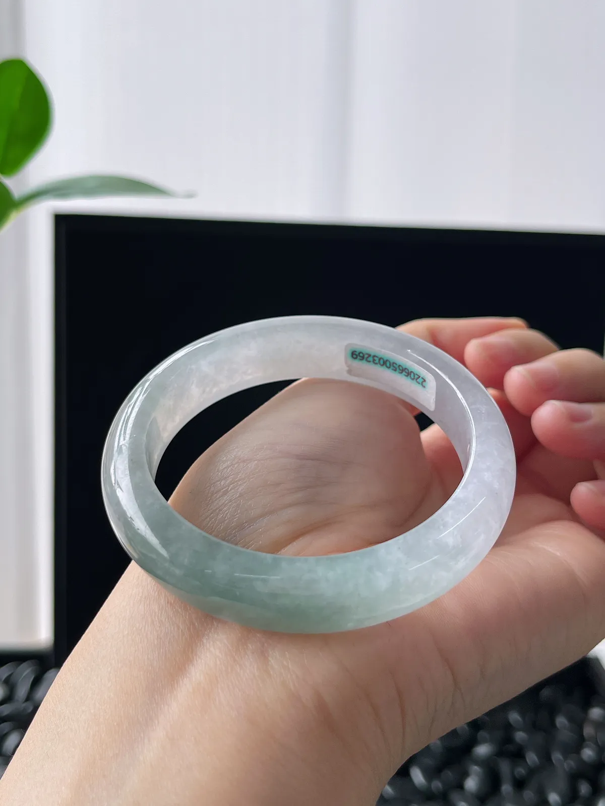 正圈51.8圈口，翡翠冰糯种浅绿色手镯