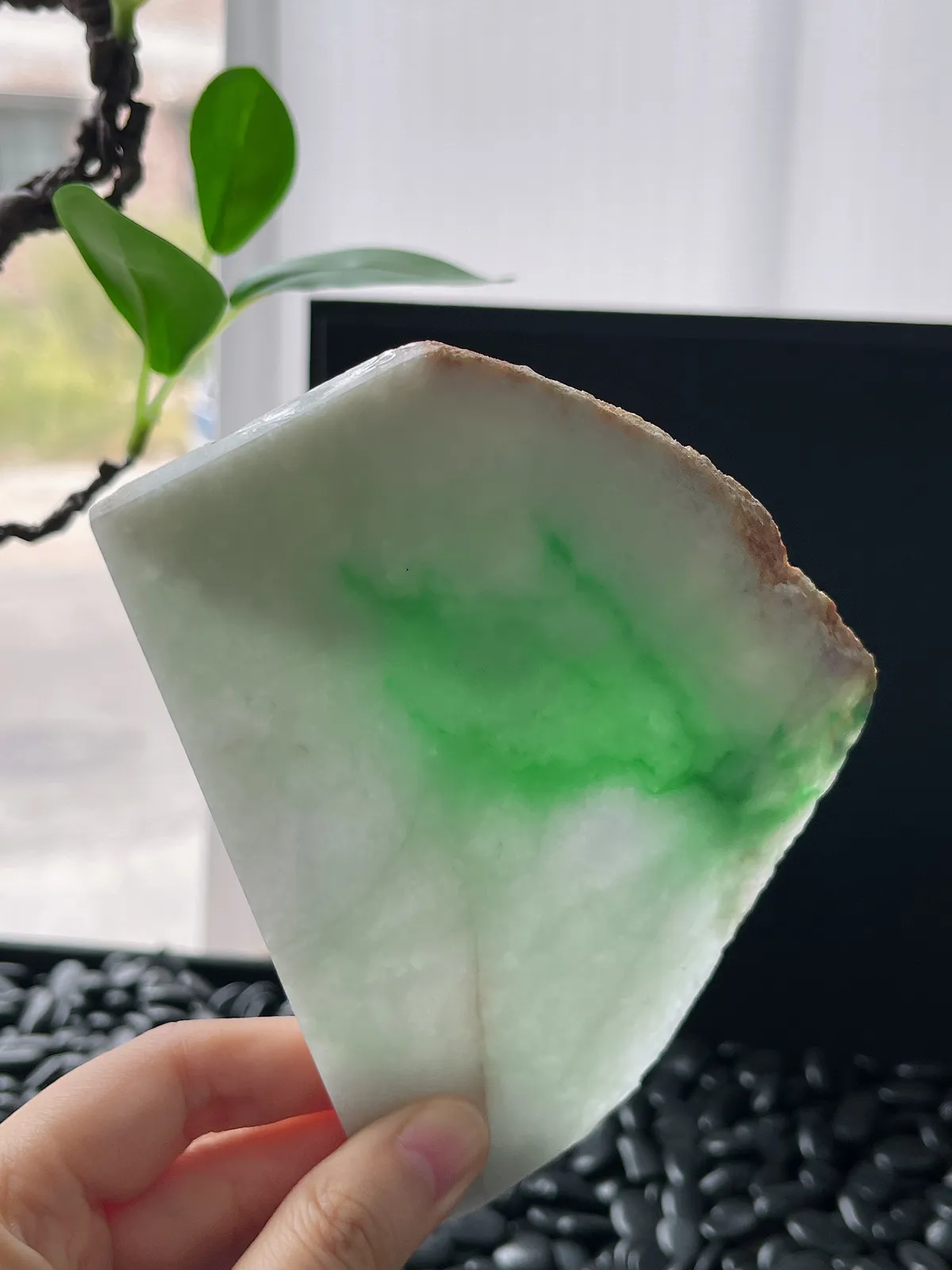 翡翠飘阳绿片料