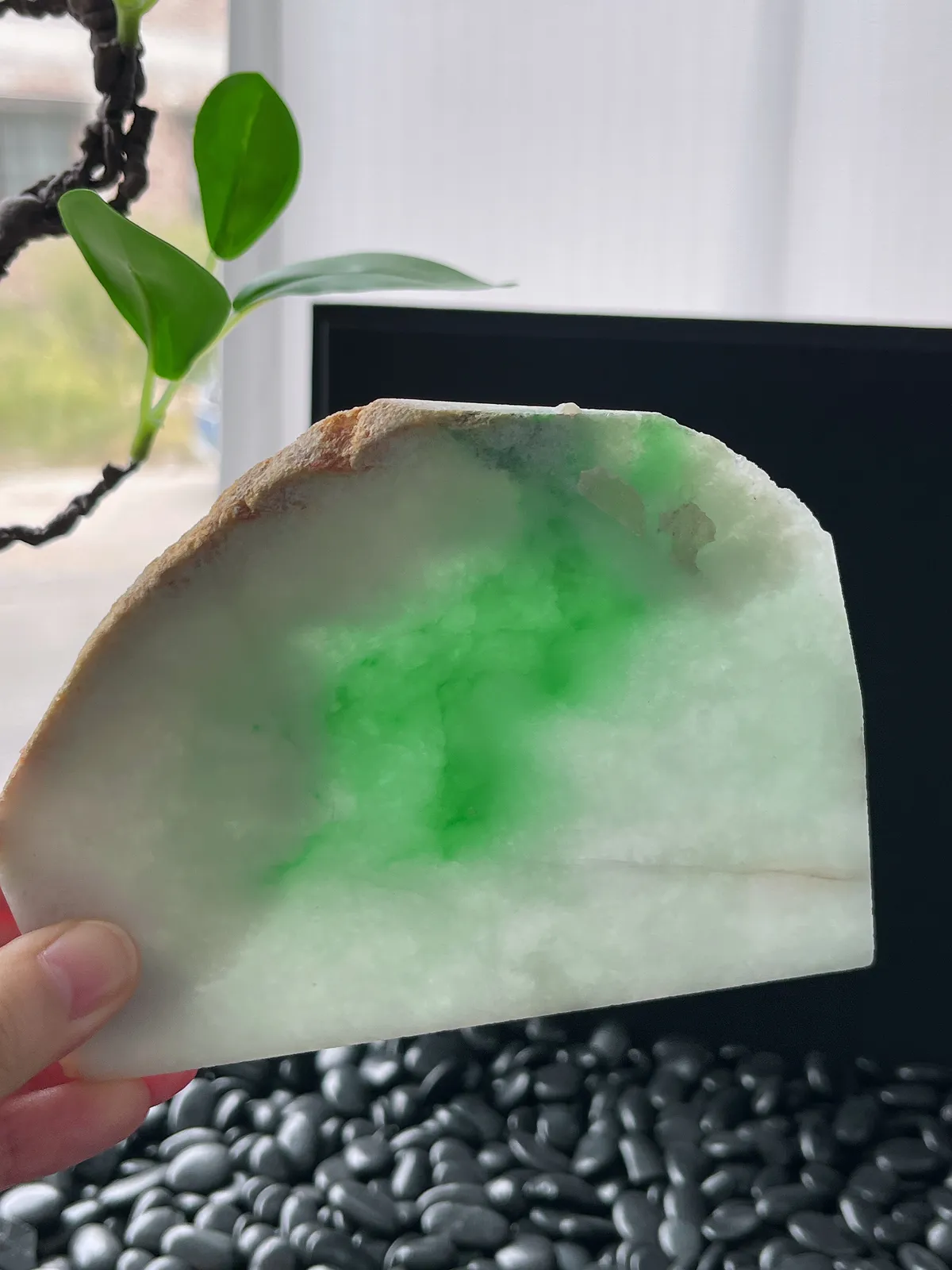 翡翠飘阳绿片料