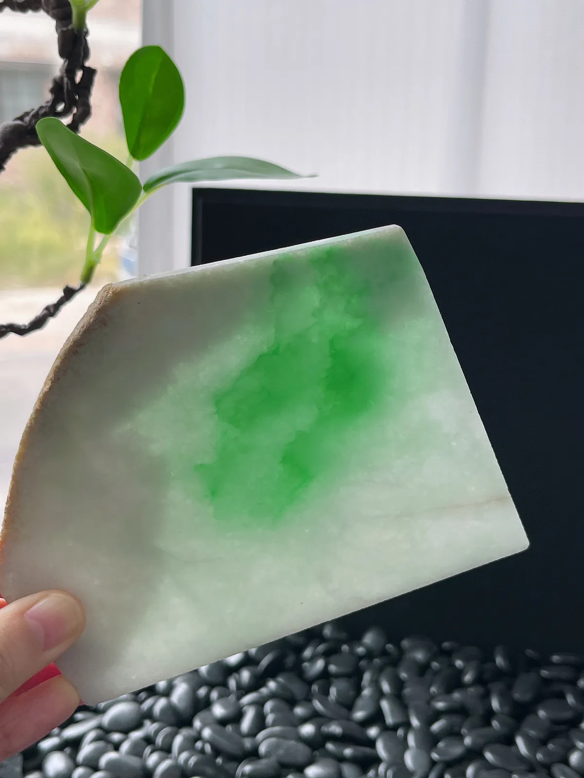 翡翠飘阳绿片料