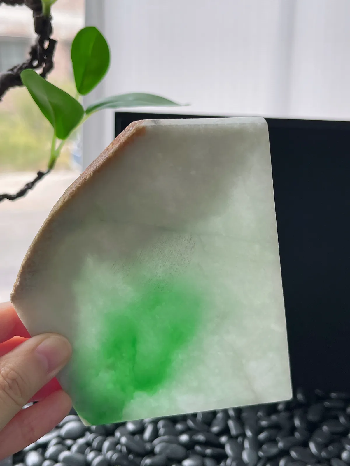 翡翠飘阳绿片料