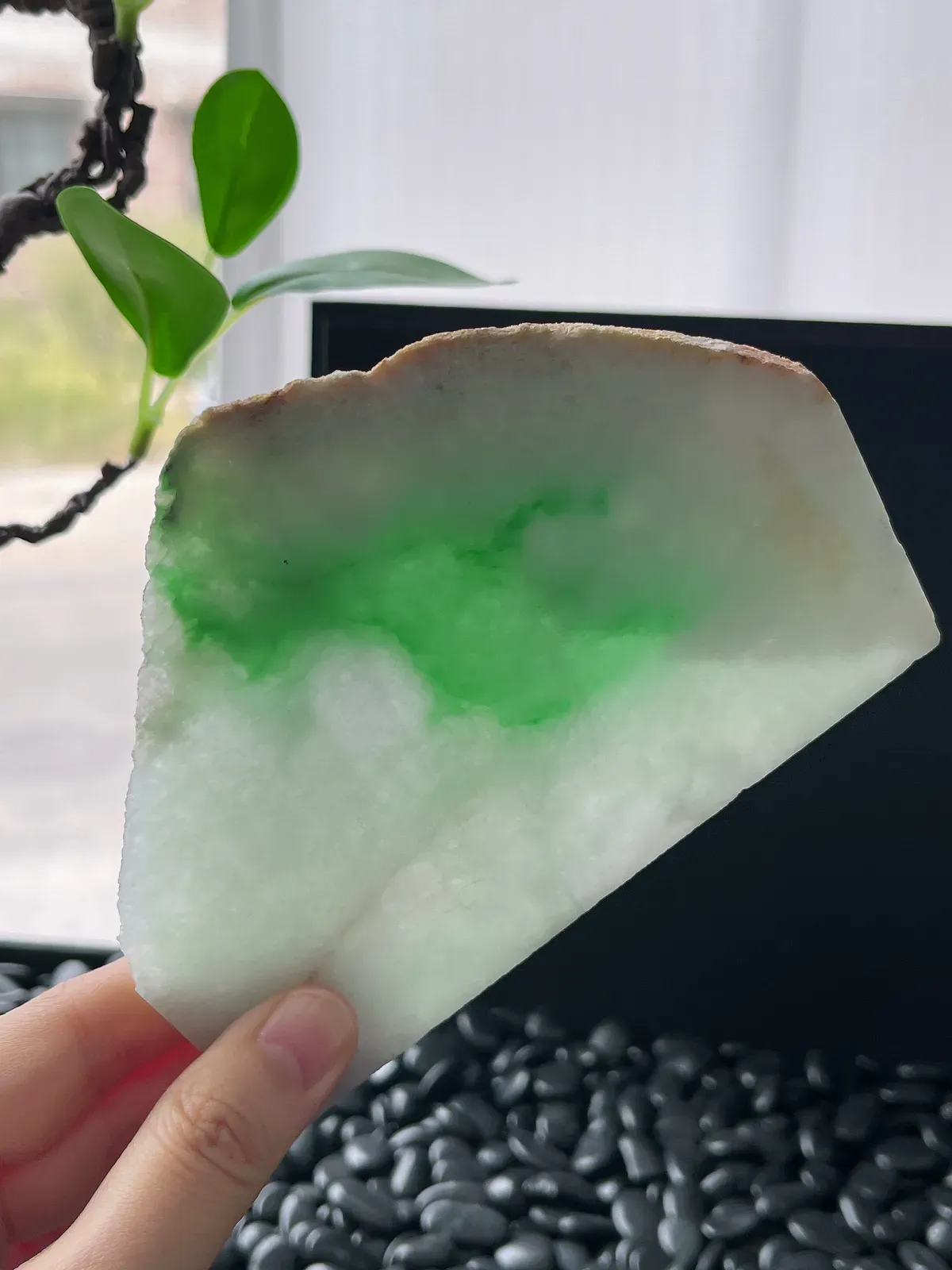 翡翠飘阳绿片料