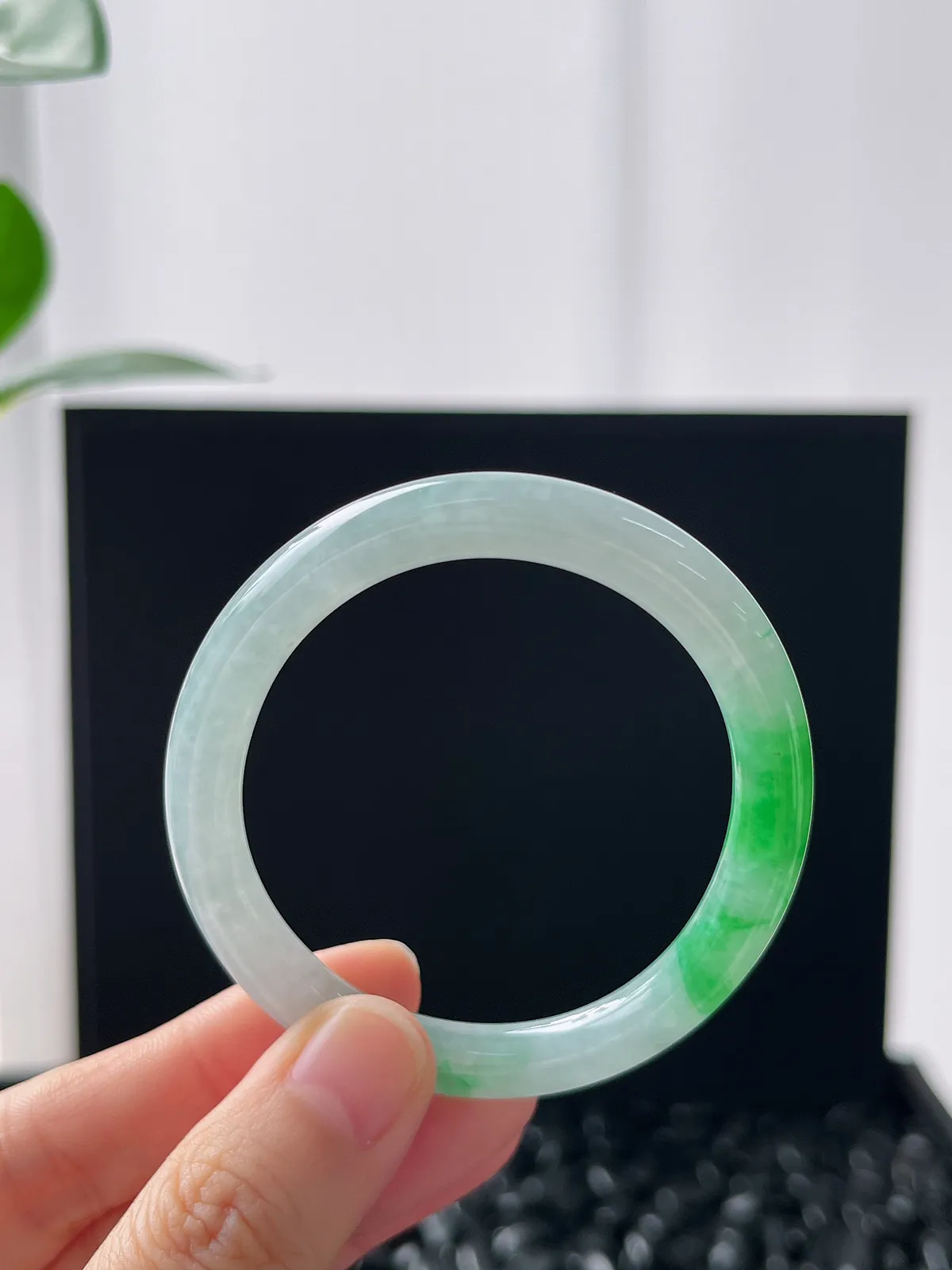 贵妃镯50.3圈口，翡翠冰糯种飘绿手镯