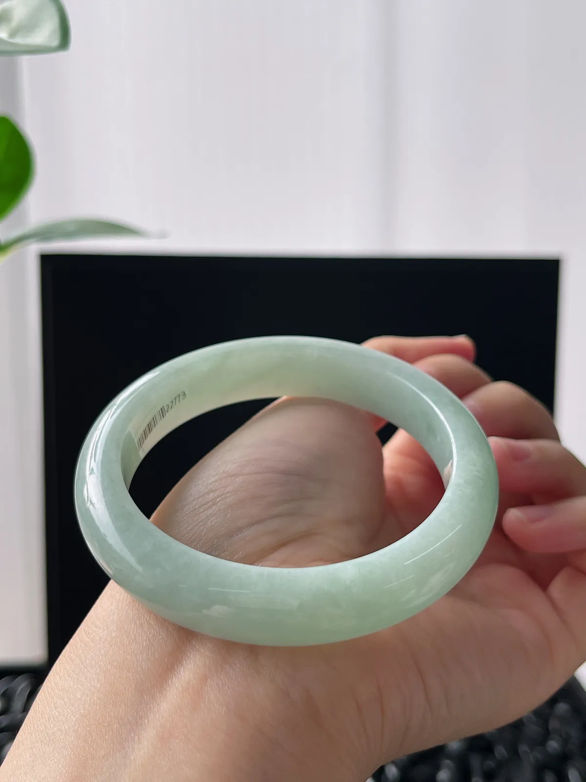 正圈56.6圈口，翡翠糯化种飘绿手镯