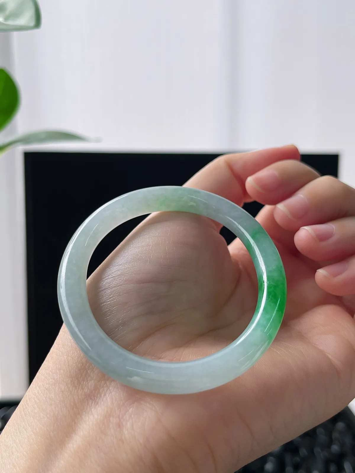 贵妃镯50.3圈口，翡翠冰糯种飘绿手镯