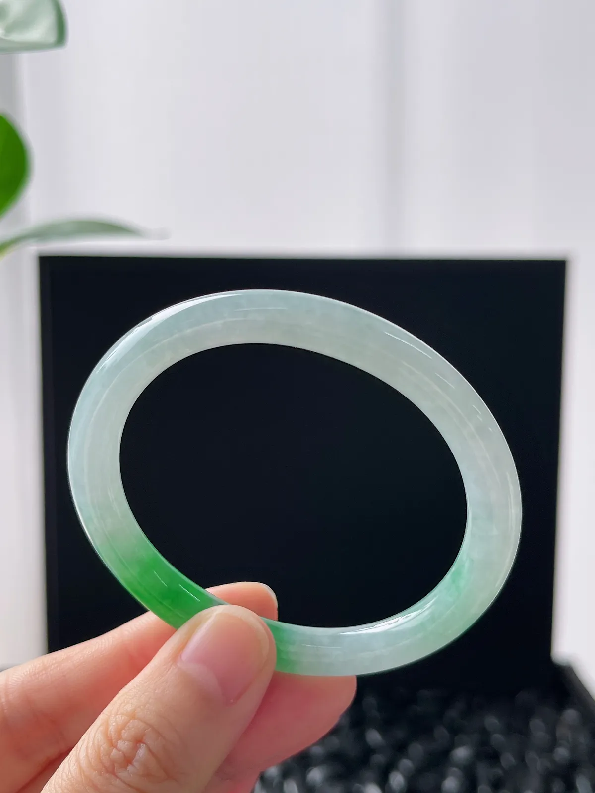 贵妃镯50.3圈口，翡翠冰糯种飘绿手镯