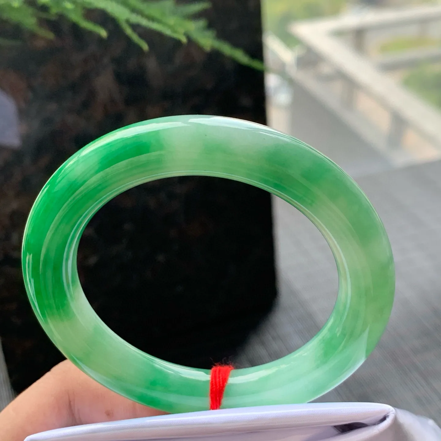 圆条一大节阳绿 无瑕 尺寸:55.1/10.5/11.1 色好