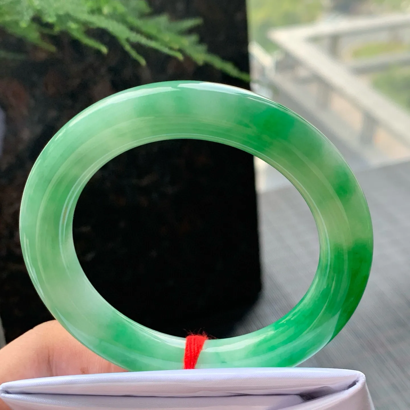 圆条一大节阳绿 无瑕 尺寸:55.1/10.5/11.1 色好