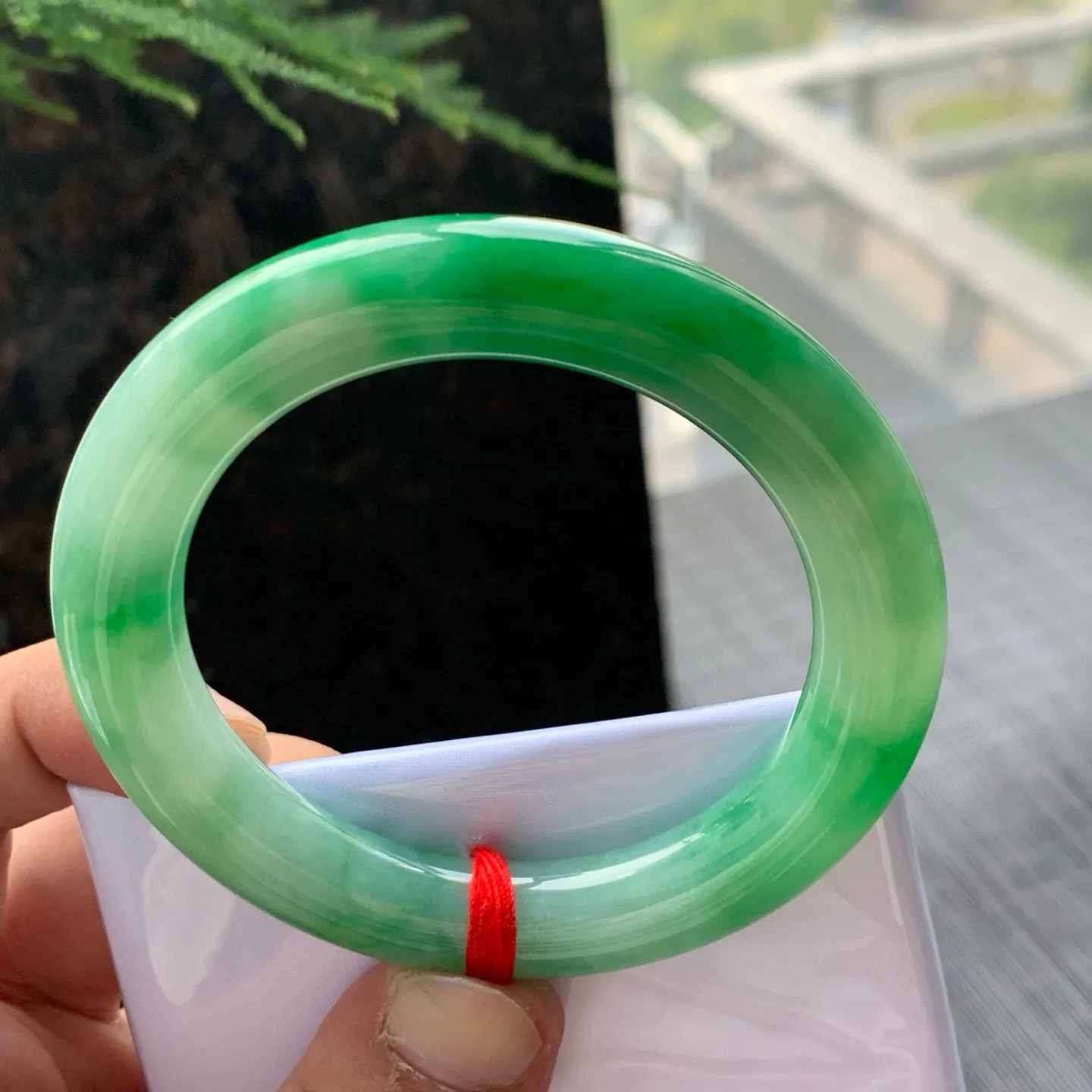 圆条一大节阳绿 无瑕 尺寸:55.1/10.5/11.1 色好