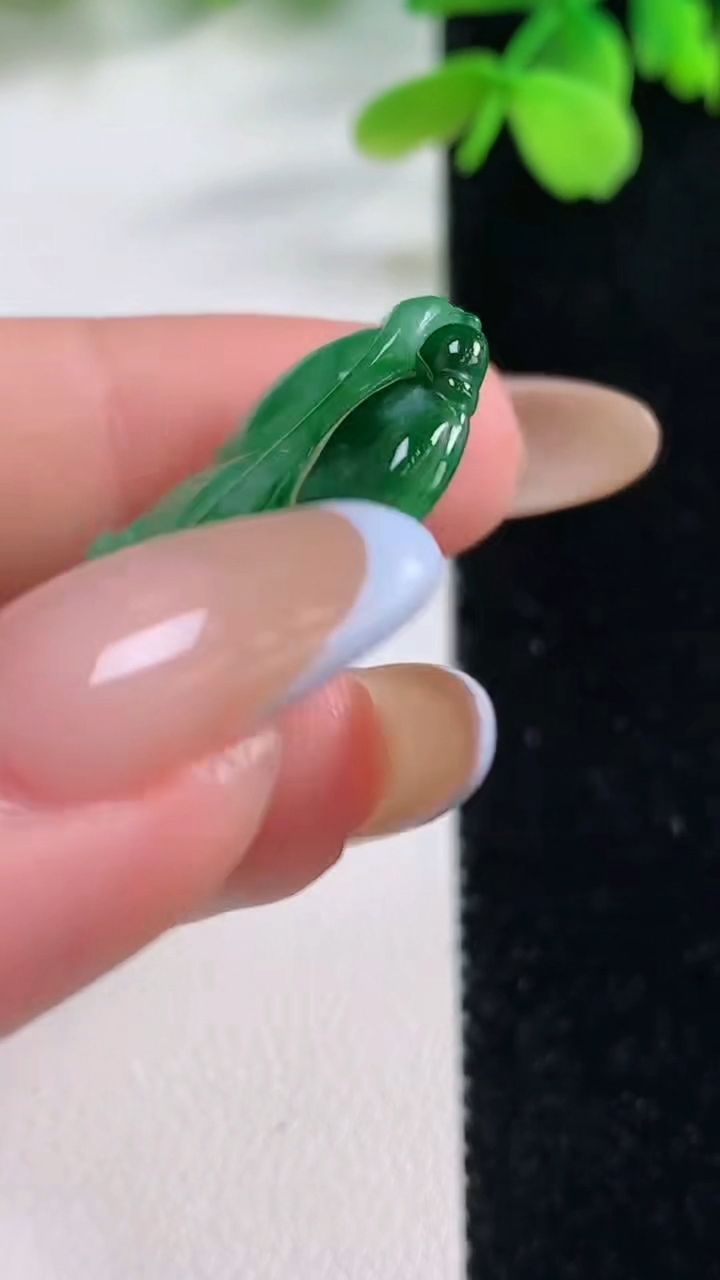 天然A货翡翠金枝玉叶 叶子吊坠，尺寸39.5-19-3.4，重量:4.69g
11月2日