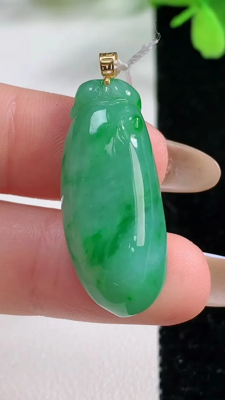 天然A货翡翠福瓜吊坠，尺寸32-13.7-6.9，重量:6.69g
11月3日