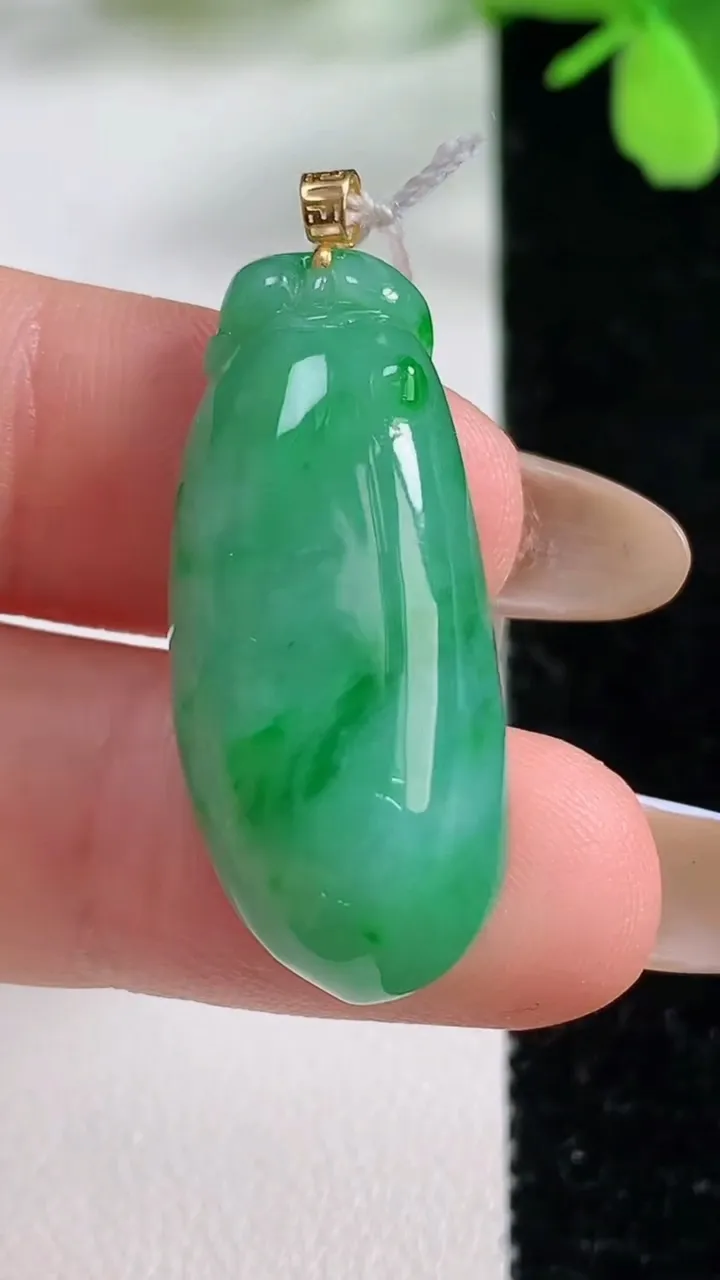 天然A货翡翠福瓜吊坠，尺寸32-13.7-6.9，重量:6.69g
11月3日