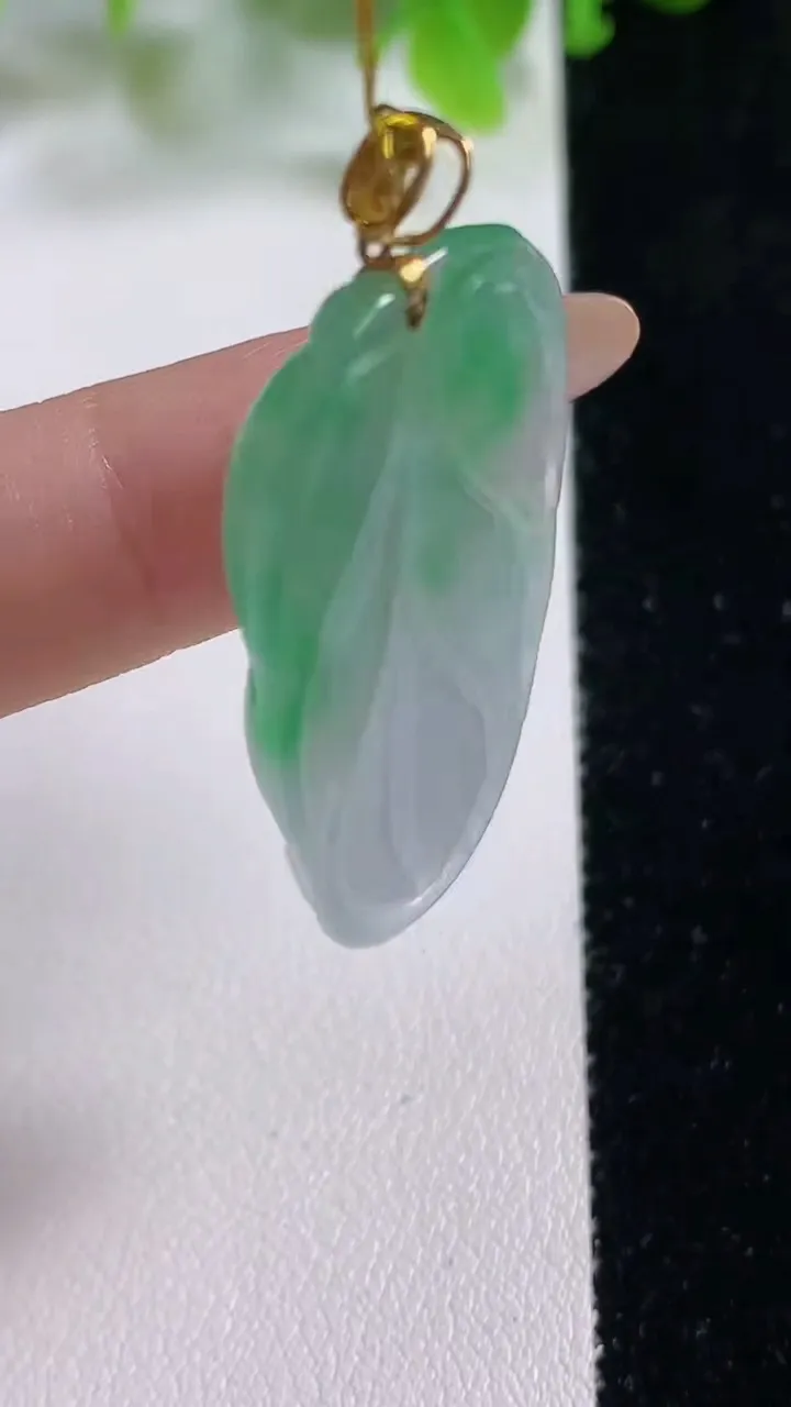 天然A货翡翠金枝玉叶 叶子吊坠，尺寸38-22.5-4.6，重量:8.04g
11月6日