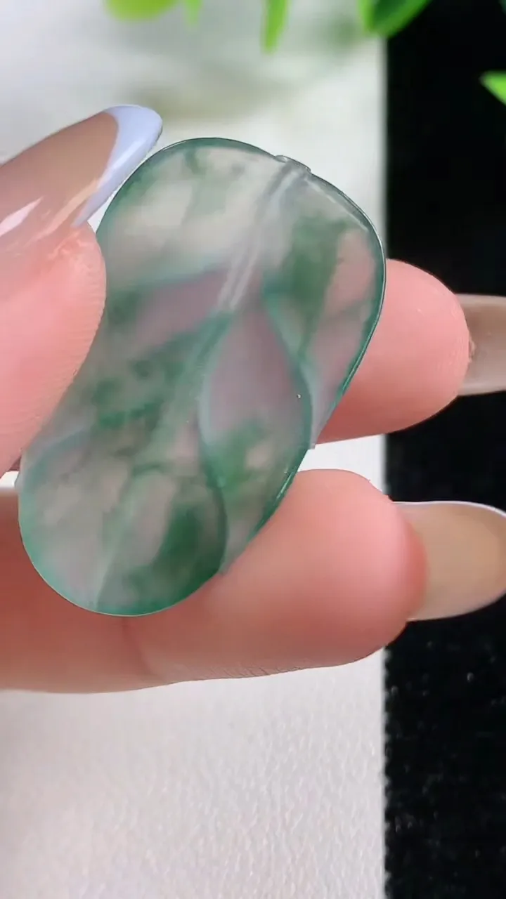 天然A货翡翠冰种飘花金枝玉叶 叶子镶嵌件，尺寸34.3-20.4-2.6，重量:3.98g
11月9日