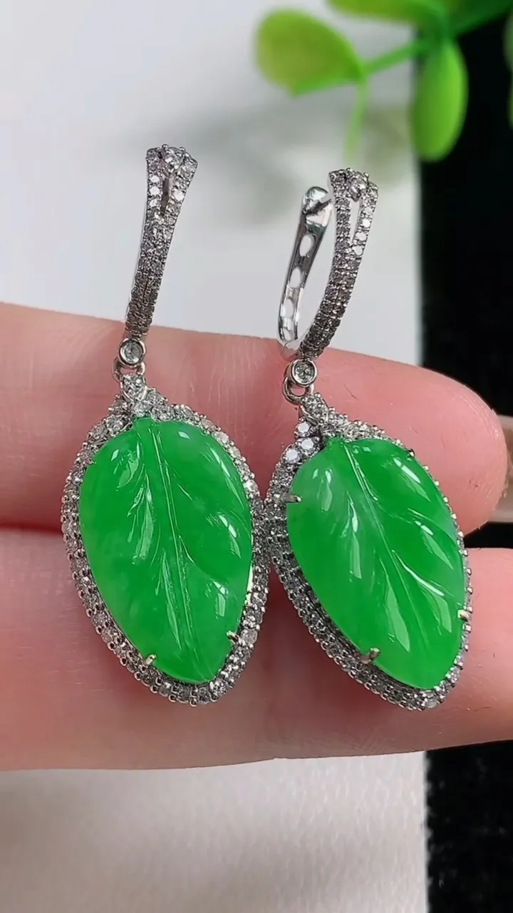 天然A货翡翠金枝玉叶 叶子耳坠，尺寸17.2-10.6-5.4，重量:5.57g
11月10日