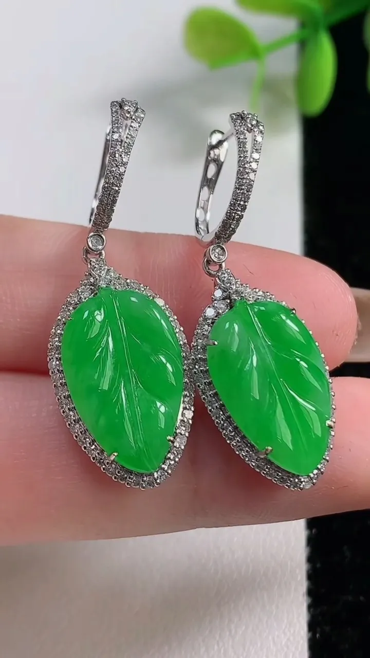 天然A货翡翠金枝玉叶 叶子耳坠，尺寸17.2-10.6-5.4，重量:5.57g
11月10日