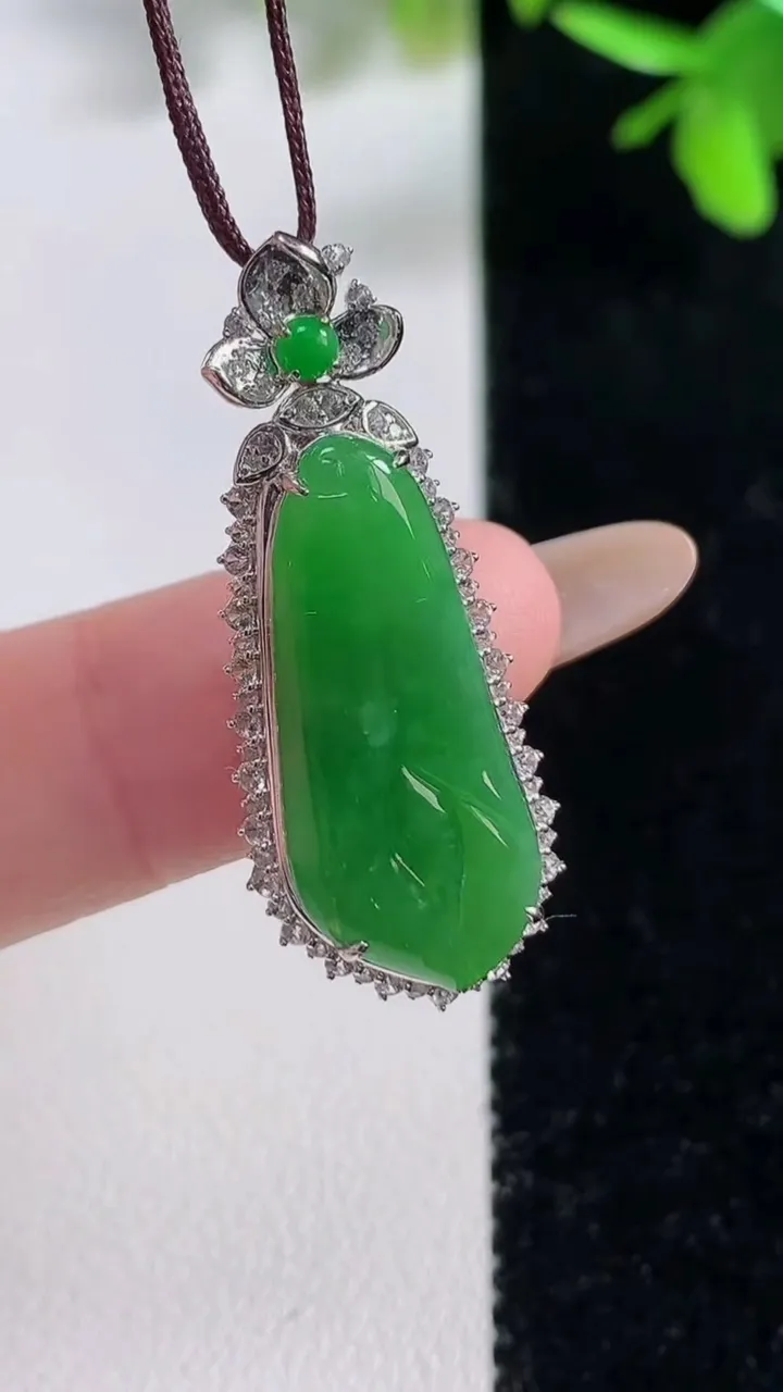 天然A货翡翠玉兰花吊坠，尺寸34-14-7裸石24-10.3，重量:3.11g
11月11日