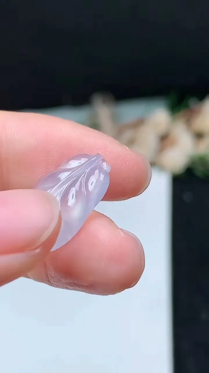 天然A货翡翠白冰金枝玉叶 叶子镶嵌件，尺寸17.8-12.8-4，重量:1.61g
11月16日