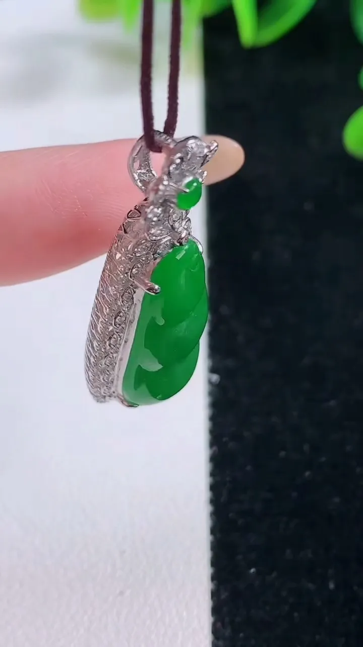 天然A货翡翠福豆吊坠，尺寸36.7-15-9.5，裸石24-11重量:5.62g
11月20日