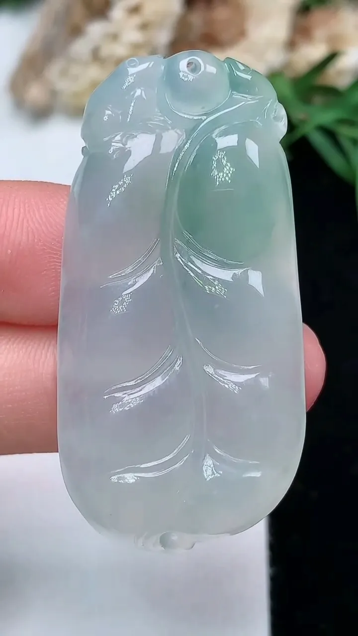天然A货翡翠金枝玉叶 叶子吊坠，尺寸44.9-22.4-5.5，重量:12.46g
11月28日