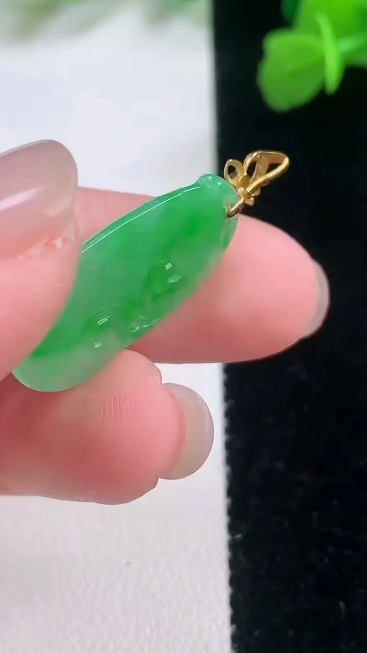 天然A货翡翠如意吊坠，尺寸23-13-2.9，重量:2.11g
11月28日