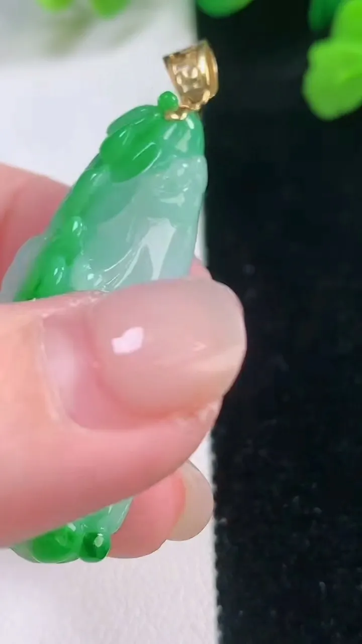 天然A货翡翠白菜吊坠，尺寸42.6-16.8-12，重量:13.78g
11月28日