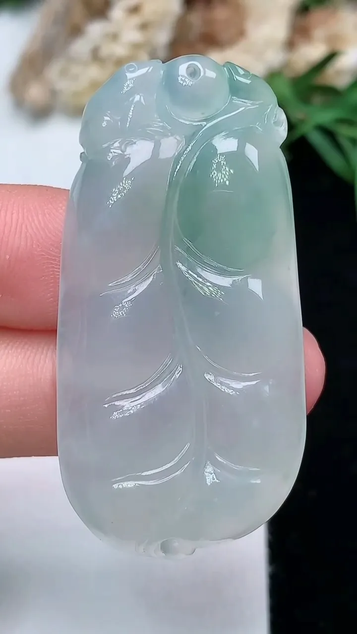 天然A货翡翠金枝玉叶 叶子吊坠，尺寸44.9-22.4-5.5，重量:12.46g
11月28日