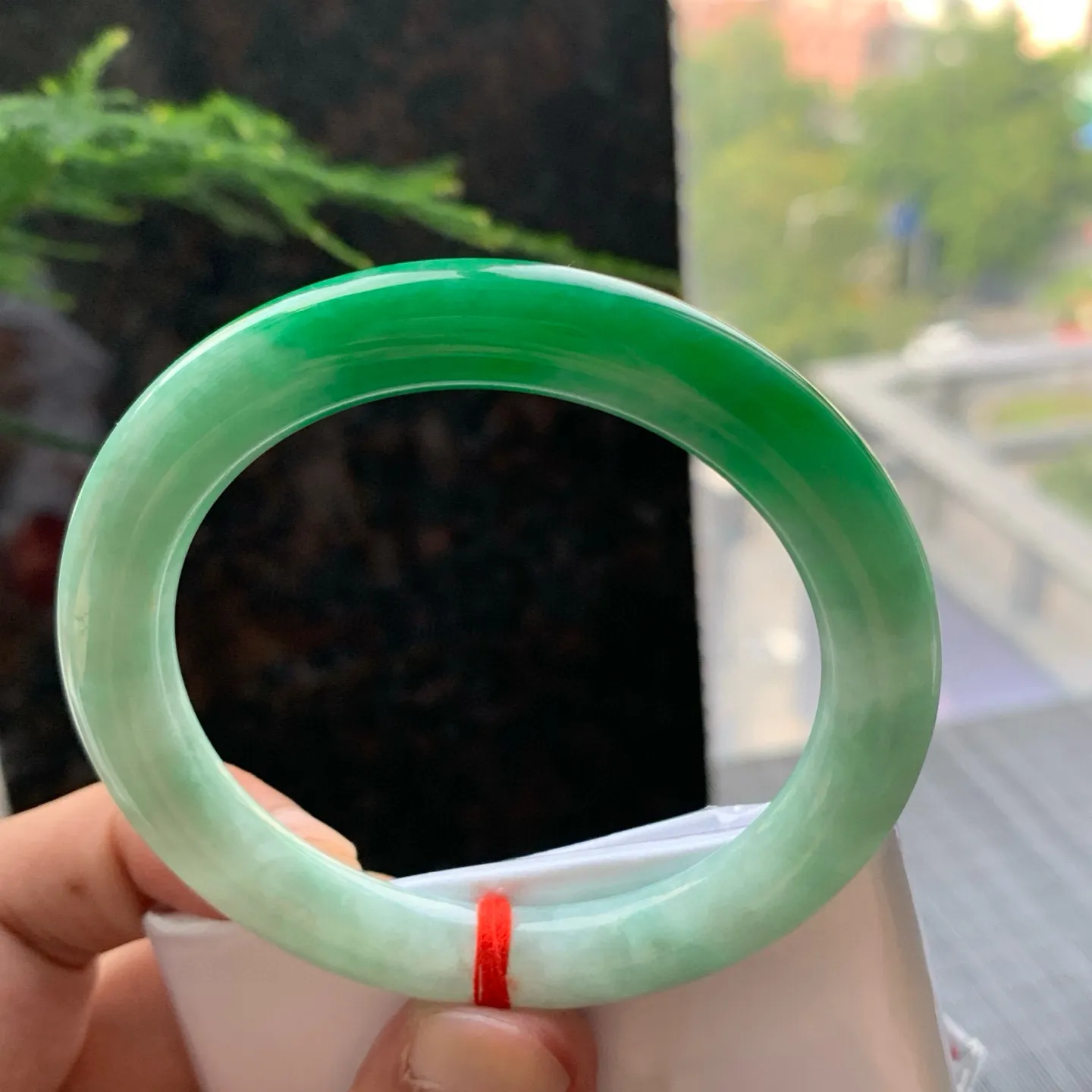 圆条一大节阳绿 内圈微纹 尺寸:54.1/8.5/9.1 色好