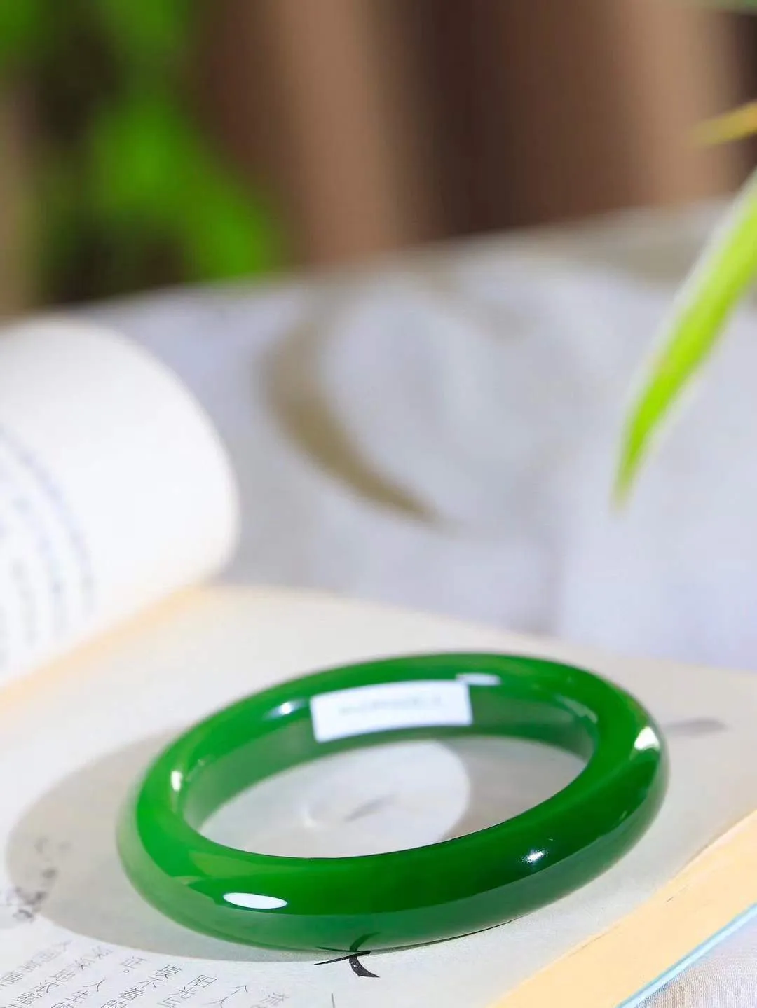 【悠悠芳华.镯】

典藏级臻品和田玉碧玉手镯 玉质温润 青葱岁月，尽收腕中，婉转流畅，凝岁月悠长。盈一眸恬淡，挽一抹绿意。重63.3克 内径55mm尺寸12.4-10mm   86110251A