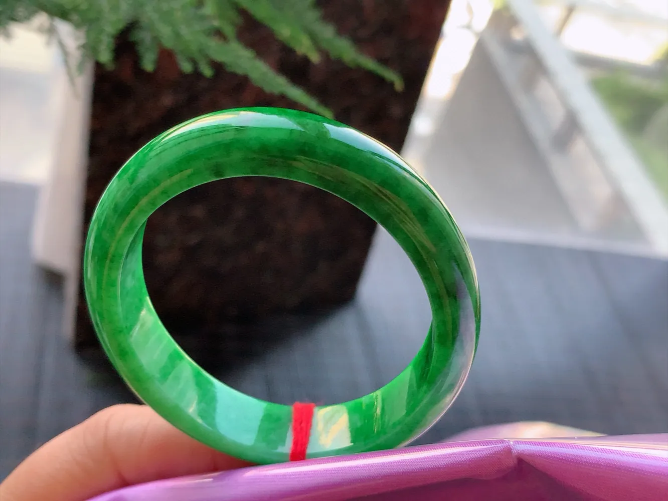 贵妃一大节辣绿 无瑕 尺寸:53.9/48.1/12.2/7.2 色辣